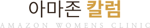 아마존 칼럼