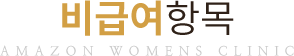 비급여항목