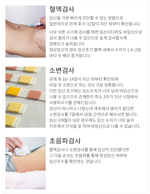혈액, 소변, 초음파검사