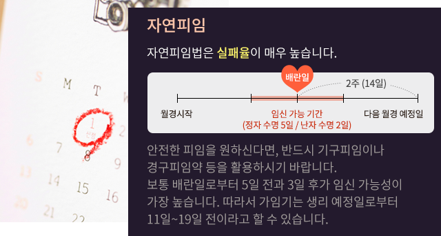 자연피임