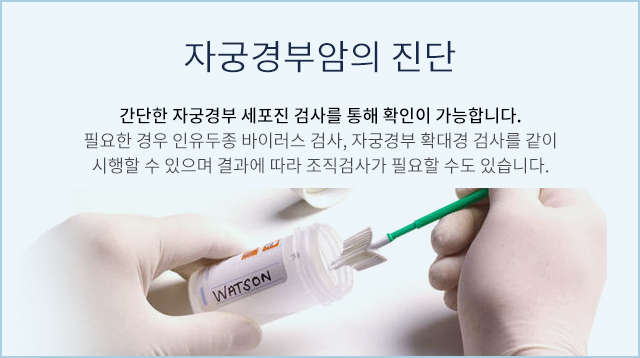 자궁경부암의 진단