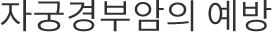 자궁경부암의 예방