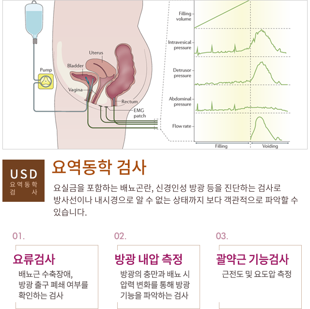 요역동학 검사