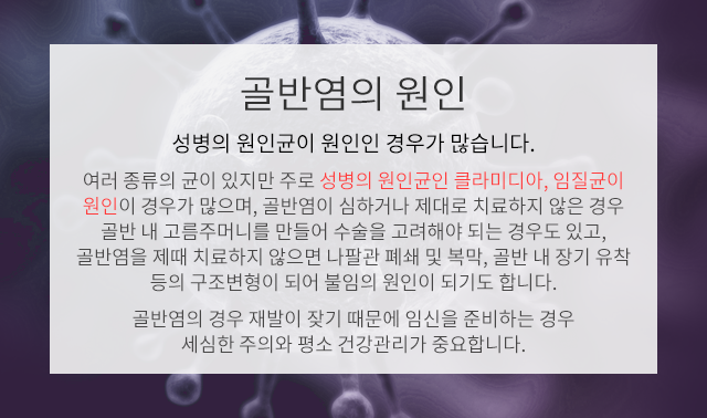 골반염의 원인