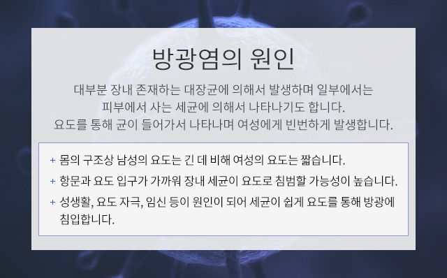 방광염의 원인