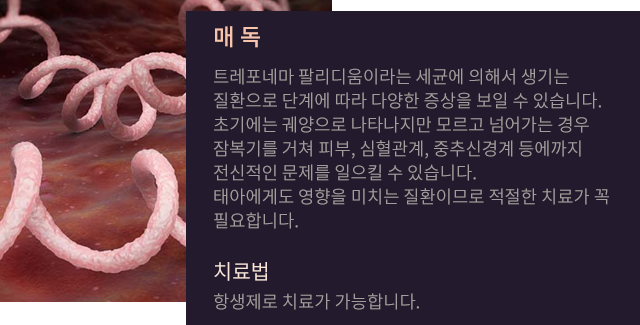 매독