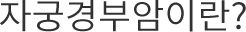 자궁경부암이란?