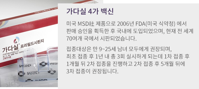 가다실 4가 백신