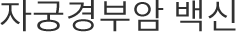 자궁경부암 백신