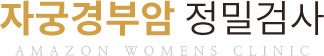 자궁경부암 정밀검사