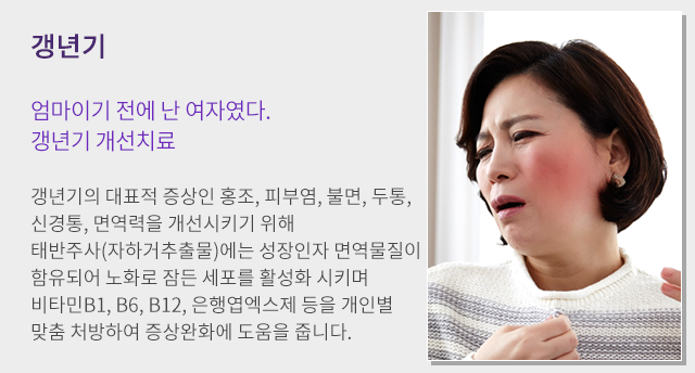 갱년기
